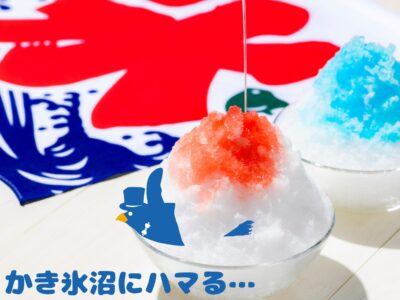 人はなぜ「かき氷沼」にハマる⁈かき氷の魅力と小野田商店の挑戦